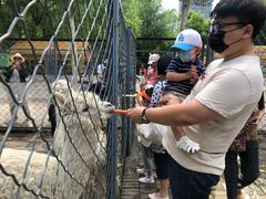 -长白岛森林公园