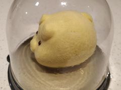 小金猪-麦当劳(东直门外大街店)