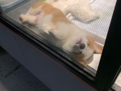 -宠物世家(仲盛世界商城店)