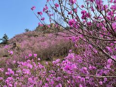 -青岛大珠山景区