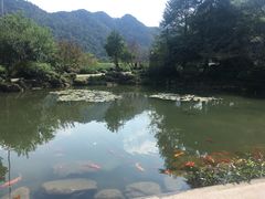 -中国茶叶博物馆(双峰馆区)