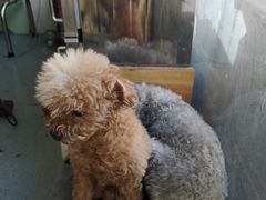 -康乐宝动物医院