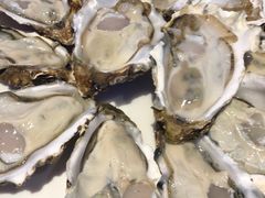 -千岛蚝高压锅生蚝·人参火锅(白云万达店)