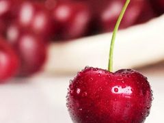 -上海龙吴水胜海发市场