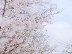 -龙美术馆(西岸馆)