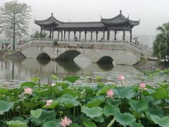 -飞来湖湿地公园