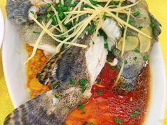 -浩海美食店(闸坡店)