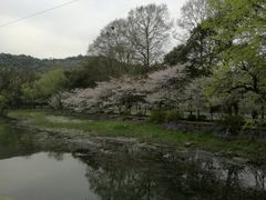 景点-蠡湖大桥公园