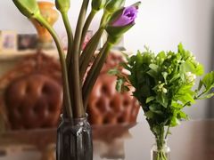 -双季花艺园艺市场(浦东店)