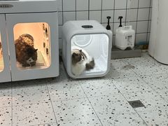 -BABIT巴比特宠物(MOMOPARK店)