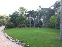 -三亚亚龙湾凯莱仙人掌度假酒店