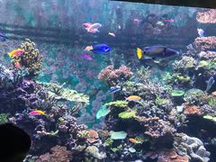 -新加坡海洋生态馆