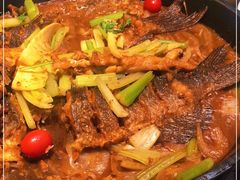 -老板恋上鱼(印象城店)