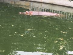 -辛玛王国游乐园