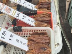 -大澳渔村及棚屋