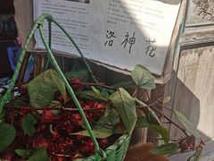 -前童古镇