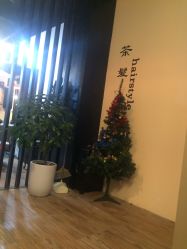 -茶发Salon·烫发染发理发