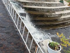 -五营红松林海景区