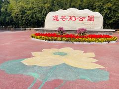 -莲花池公园