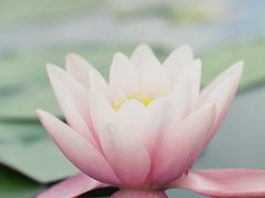 iphone_upload_pic-金逸影城(光美宝龙巨幕店)