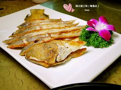 干煎英仓鱼-瑞记湛江鸡饭店·粤西第一鸡(粤垦店)