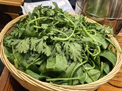 -苗家大院酸汤鱼(贵阳北站店)