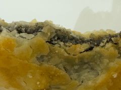 -采芝斋(延安路店)