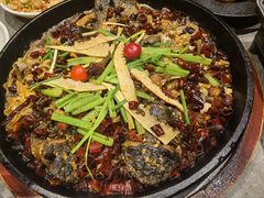 -老板恋上鱼(恒隆广场店)