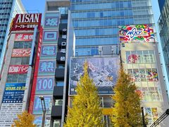 -秋叶原电器街