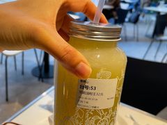 -野萃山·潮汕厚果汁(十亩地店)