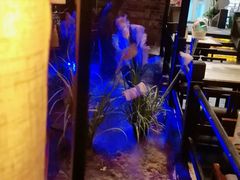 -绿茶餐厅(昆明世纪金源店)