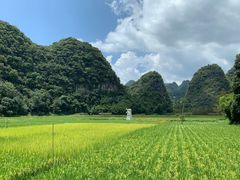 -万峰林风景区