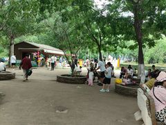 -长白岛森林公园