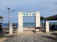 -贝壳沙滩