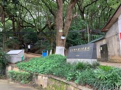 -马王堆汉墓遗址