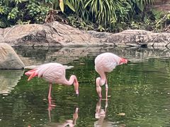 -童趣廊·儿童波波池·海洋球(长隆横琴湾酒店)