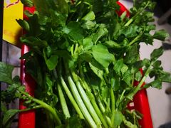 -来自潮州牛肉店(华强北店)