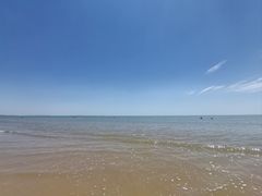 -日照海滨国家森林公园