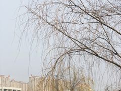 -南通大学-食堂