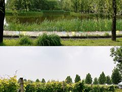 -圣露庄园·露营·烤肉·亲子