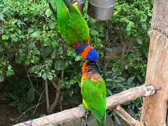 -南宫五洲植物乐园