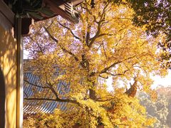 -北山街历史文化街区