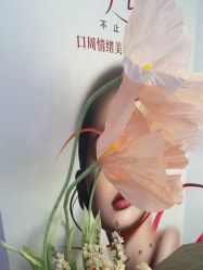 -长沙雅美医疗美容医院