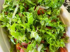 -油梨树AVOCADO TREE(顺义新国展店)