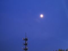 -柳浪游泳场