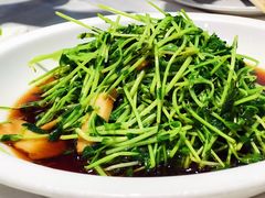 蘑菇会豆苗-和记小菜(东方店)