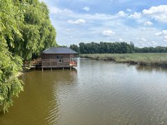 -白渔泡湿地公园