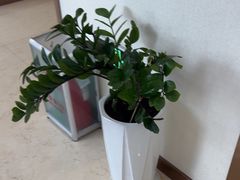-优诺口腔·VIP尊享中心(爱建机构)