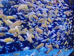 -成都浩海立方海洋公园