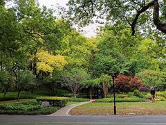 -徐家汇源景区-衡山公园